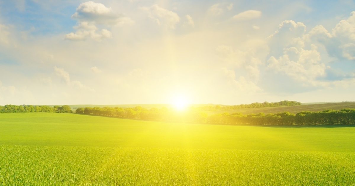 The Big Question How do you stay optimistic when… Furniture News