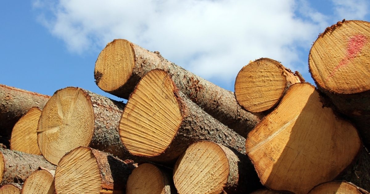 Sustainability report exposes "clear gap between ambition and action"